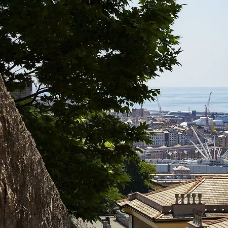 Апартаменты Sunny Over The Harbor